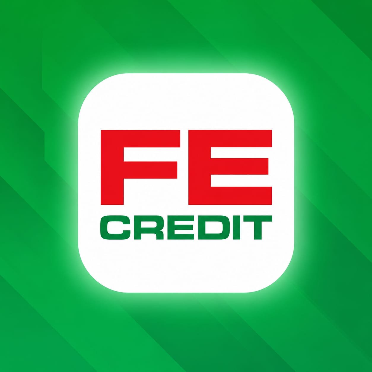 Vay FE Credit